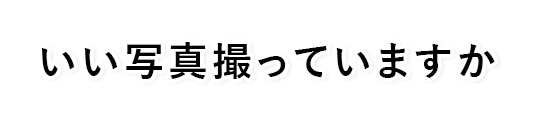 いい写真撮っていますか