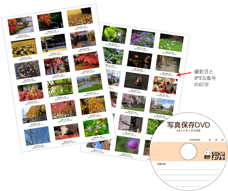 「A4インデックスプリント＋写真保存DVD」A4アルバムにスッキリ整理